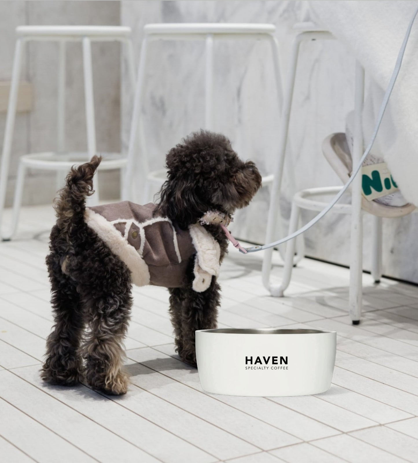 Haven x MiiR Dog Bowl