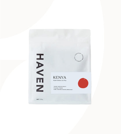 Single Origin Filter Subscription